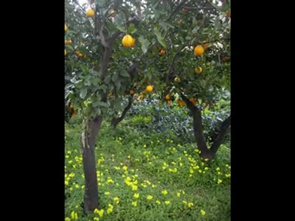 Voyage en Italie-Villafranca-decembre 2009