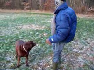 Pause calin en ballade dans la campagne