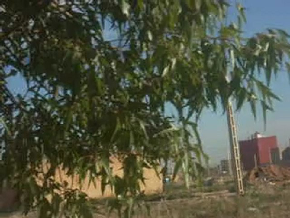 femme oujda khobbiz
