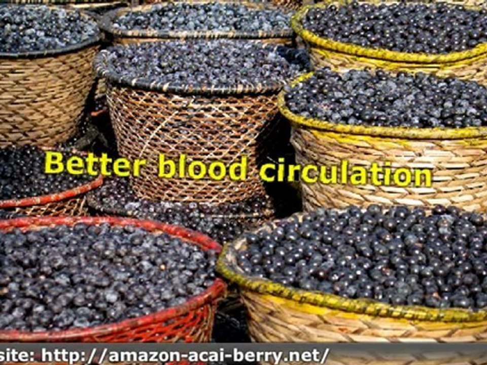 Maintain Your Health when Young or at Old Age with Acai Berr