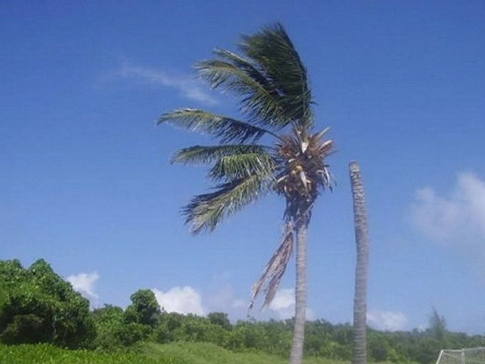 Saba ud taksimi http://besde.video-forums.com