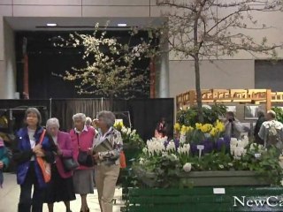 NewCa.com: 2009 Canada Blooms: Introduction
