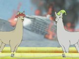 Llamas with hats 2