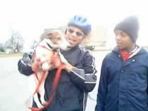 SEO & Branding & Balanced Internet Marketing