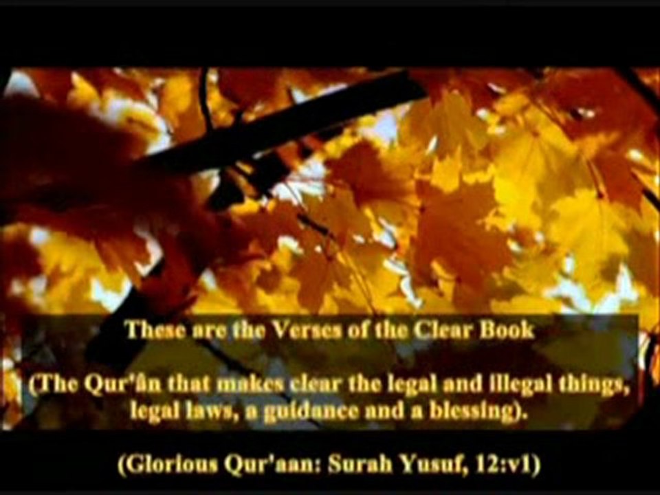 The Islaamic Viewpoint Regarding Sects