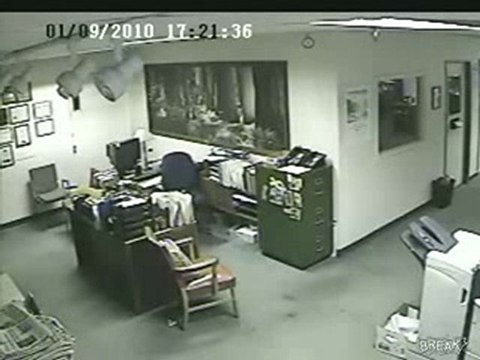 Terremoto avvertito prima dal cane in ufficio