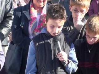 Armistice - 11 novembre 2009