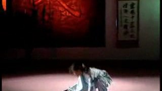 Chin Woo - Jie Quan 节拳