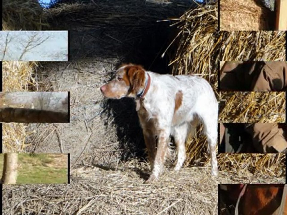 Adeline et Ruby