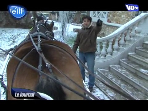 Une calèche pour trier les sapins à Saint-Prix (Val d'Oise)