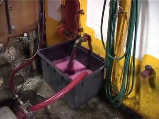 Domaine des Maels à Argens Minervois dans l'Aude