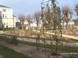Les remparts de Pontoise