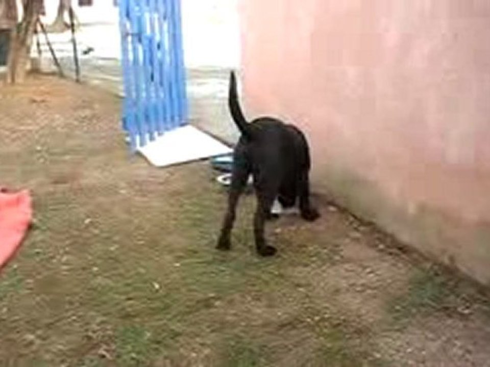 MOV036