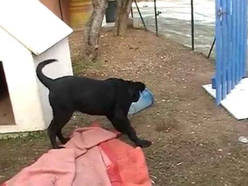 MOV037