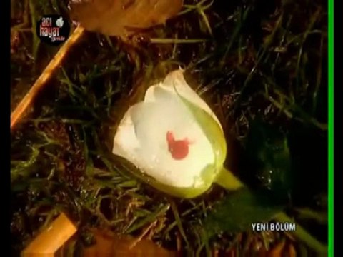 Mc Sonhasret - Seni Seviyorum Yeni 2010