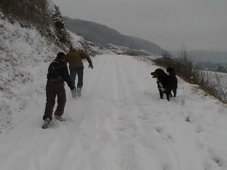 Boule de neige