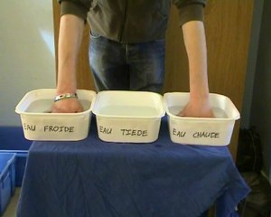 Main chaude, main froide