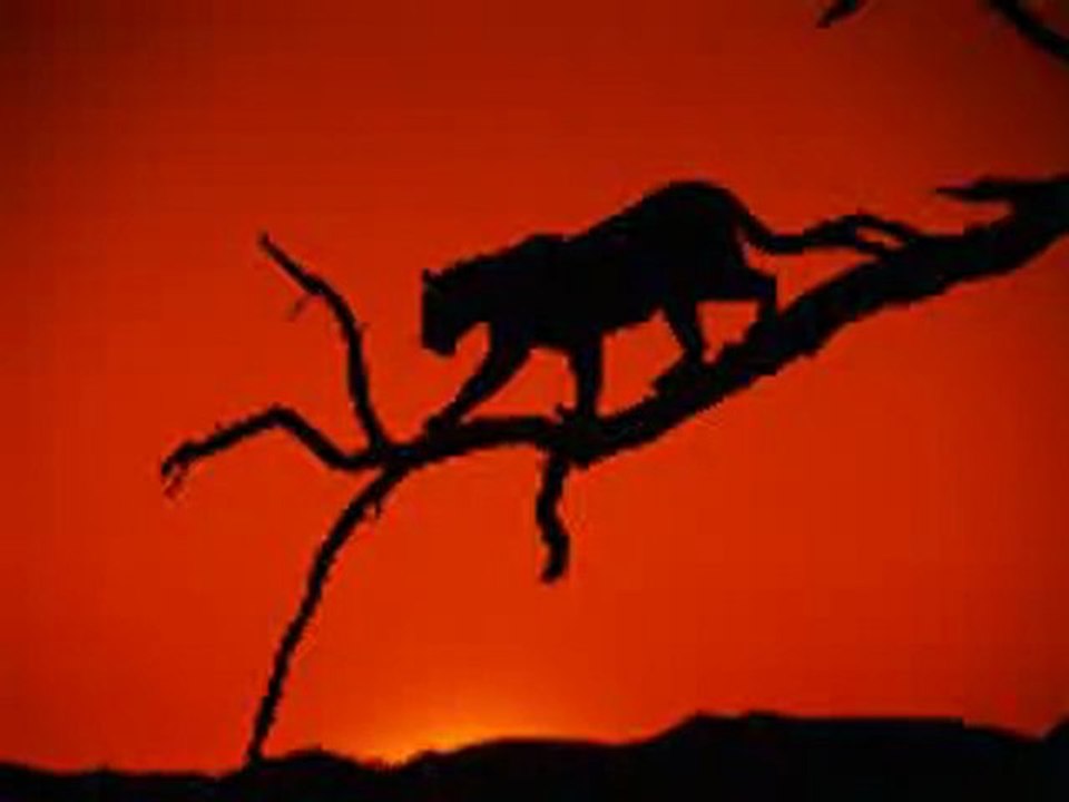 " AFRICA" de ROSE LAURENS, chanté par Serge Boudot.