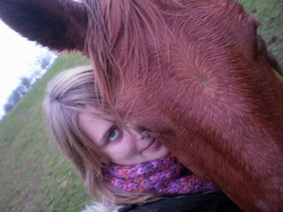 Je t'aime...