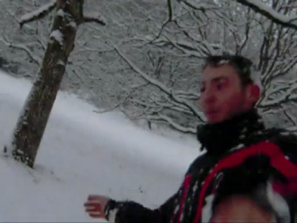 Luge cheignieu