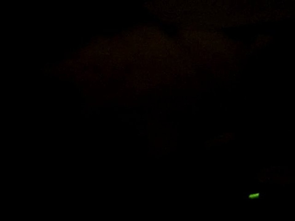 Orion et la dartyBox