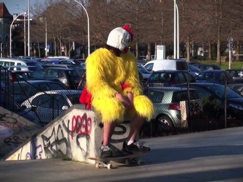 Némo le poulet.