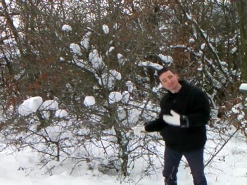 magie sous la neige