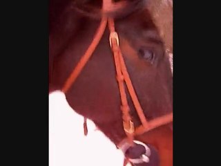 balade dans la neige