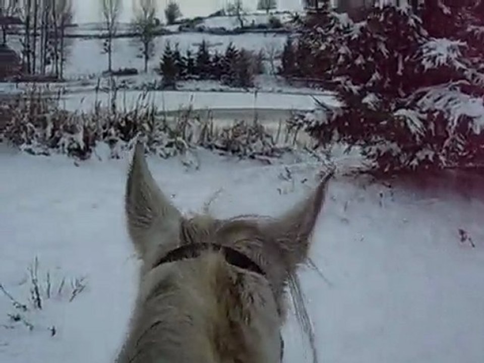 paso dans la neige balade