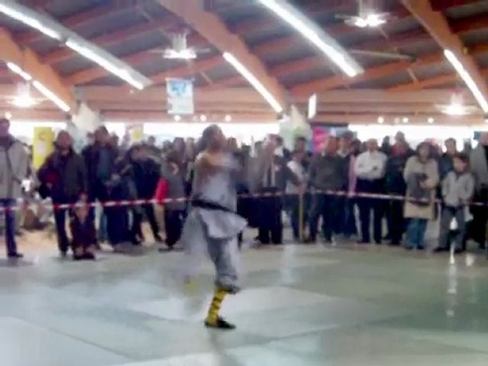 Démonstration de l'école Luan kung-fu shaolin 2010 (Best of)