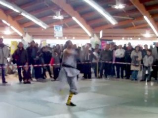 Démonstration de l'école Luan kung-fu shaolin 2010 (Best of)