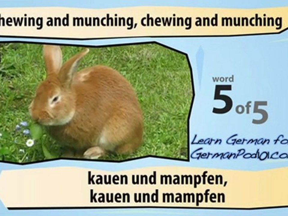 Learn German - Learn with German Common Animal Videos