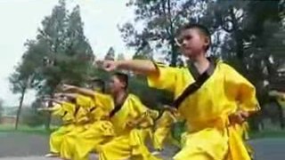 Chinese martial art in China