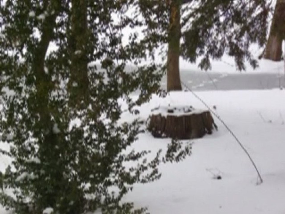hiver : Schoppenwihr met son manteau blanc
