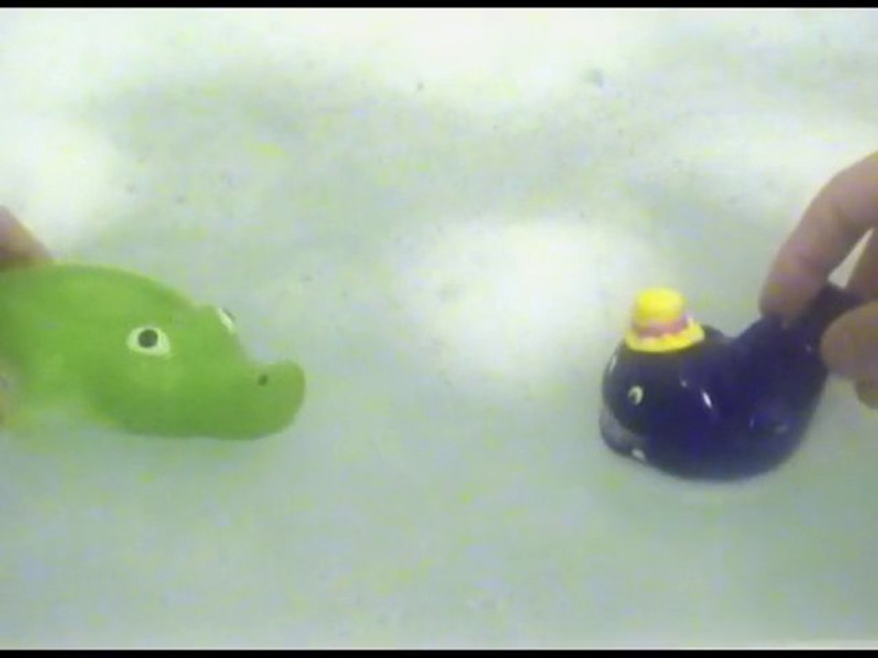 shower show n°4