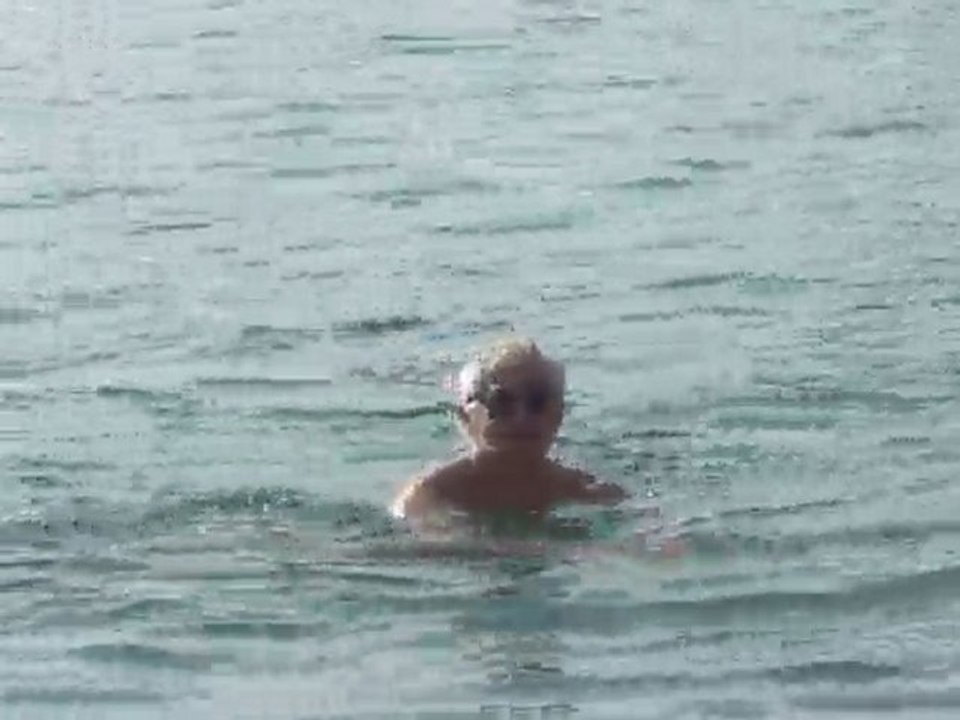 Marseilleveyre bain d'hiver N°2