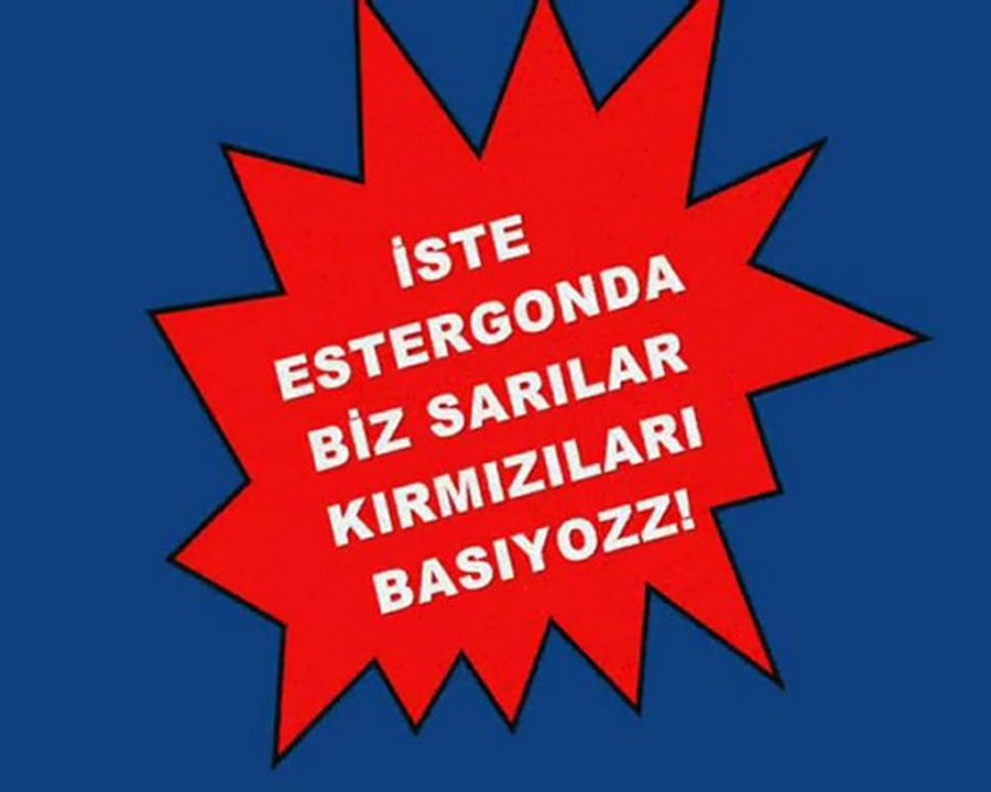 Metin2_Estergon baskın