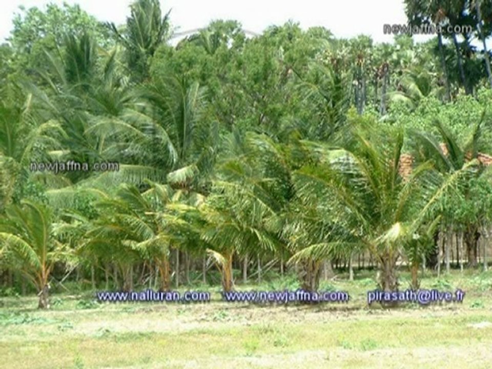 JAFFNA யாழ் ஞாபகம் 16 jaffna