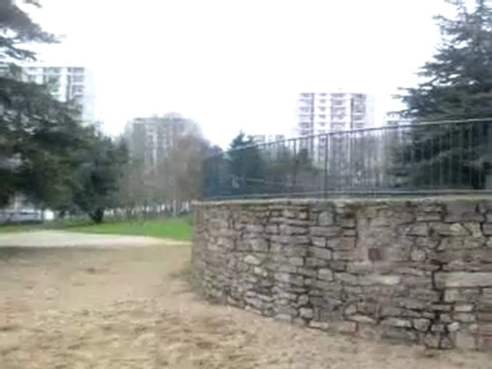 saut de chat et saut de presison