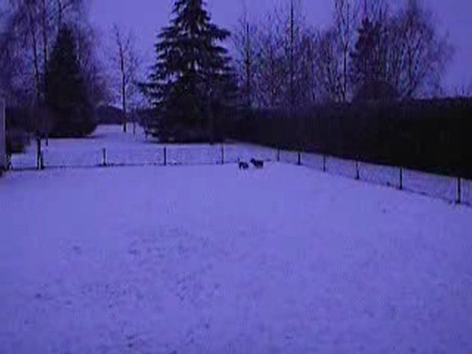 Toujours de la neige