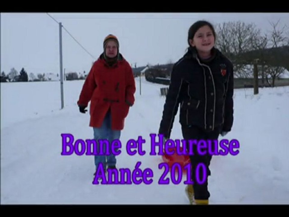 Voeux 2010