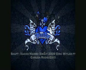 New House Music Mix juillet  2009