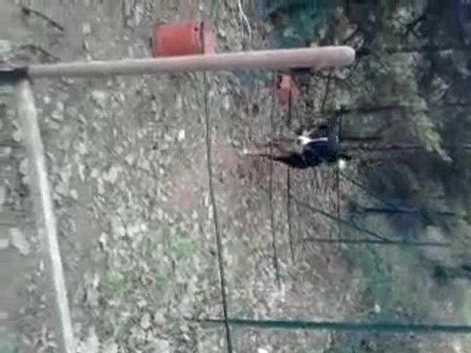 Nalla agility