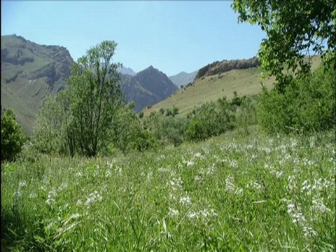 HAKKARİ'DEN DOĞA MANZARALARI