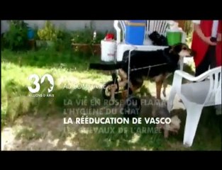 Sommaire émission 30 millions d'amis 16 01 2010