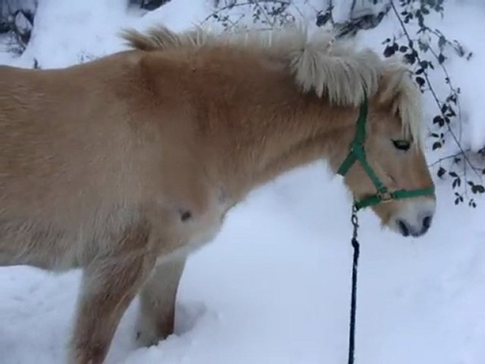 Caramel hiver 3