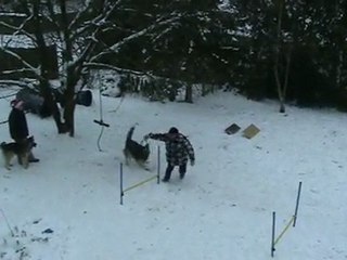 ATHENES  A L'AGILITY 1