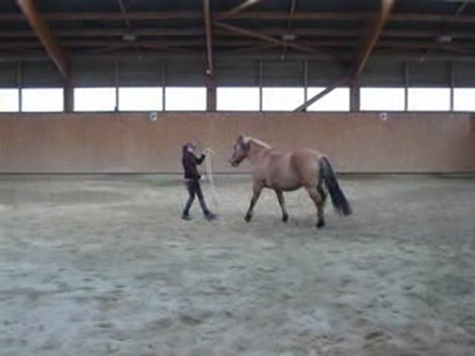 pas espangol a pied  ( Nora-henson )