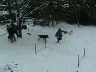 ATHENES A L'AGILITY 2