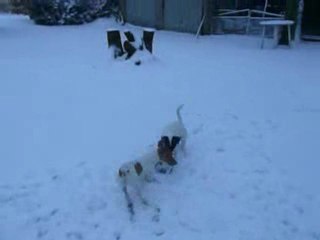 Starsky et Hutch dans la neige (1)